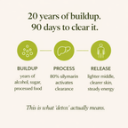g04-buildup