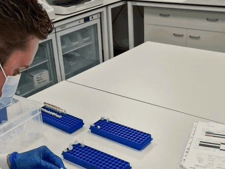 Lab technician preparing samples